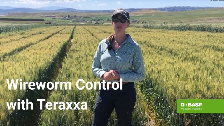 How to Secure Your Online Cricket ID: A Step‑By‑Step Guide for Cricket Enthusiasts